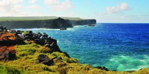 LES GALÁPAGOS, TERRE VARIÉE & ÉTONNANTE