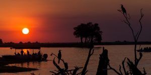 rivière Chobe en Afrique