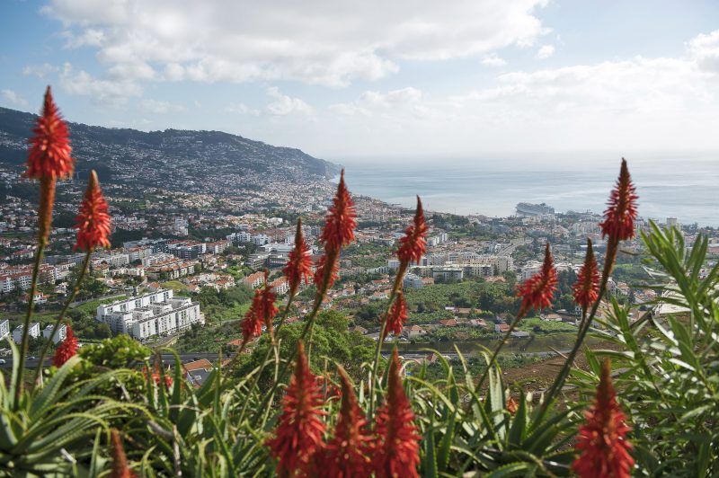 Visitez Funchal au Portugal lors de votre croisière MSC
