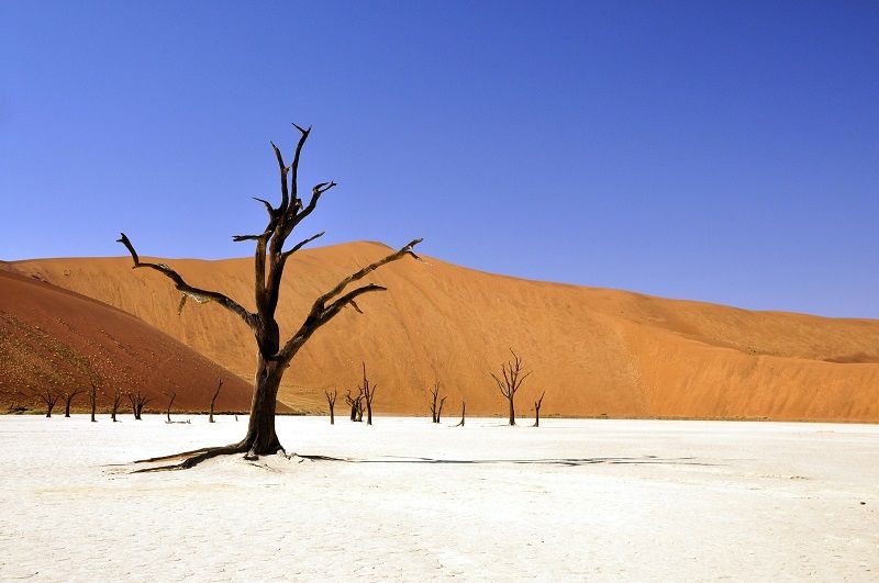 Découvrez le plus vieux désert du monde, le désert de Namibie pendant votre croisière en Afrique Australe 