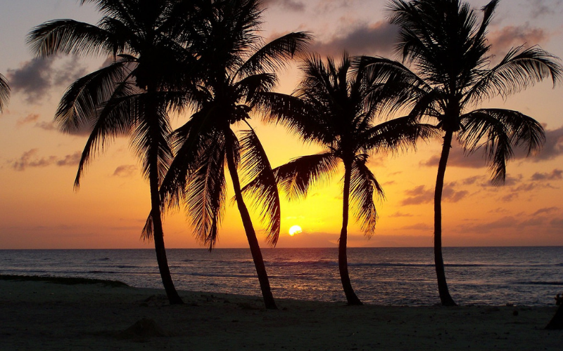 Lors de votre voyage de noce sur le Club Med 2 profitez de paysages paradisiaques en Guadeloupe